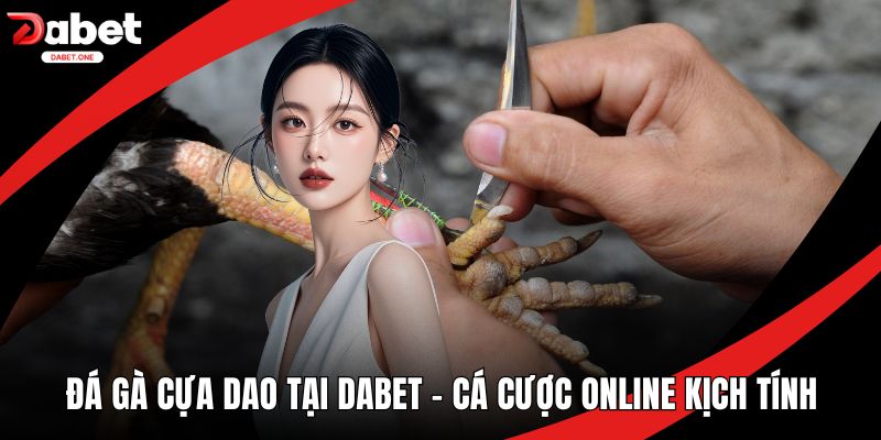 Đá gà cựa dao tại Dabet