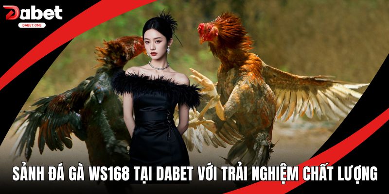 Sảnh đá gà WS168 tại Dabet
