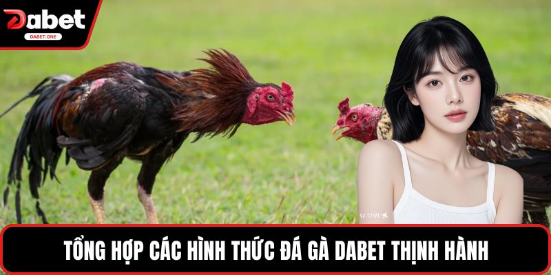 Tổng hợp các hình thức đá gà Dabet thịnh hành