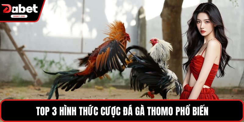 Top 3 hình thức cược đá gà Thomo phổ biến