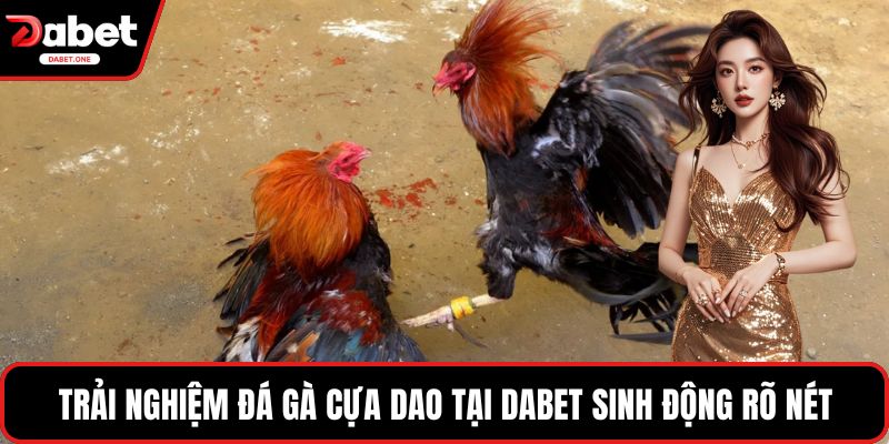 Trải nghiệm đá gà cựa dao tại Dabet sinh động rõ nét