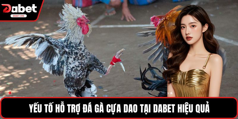 Yếu tố hỗ trợ đá gà cựa dao tại Dabet hiệu quả